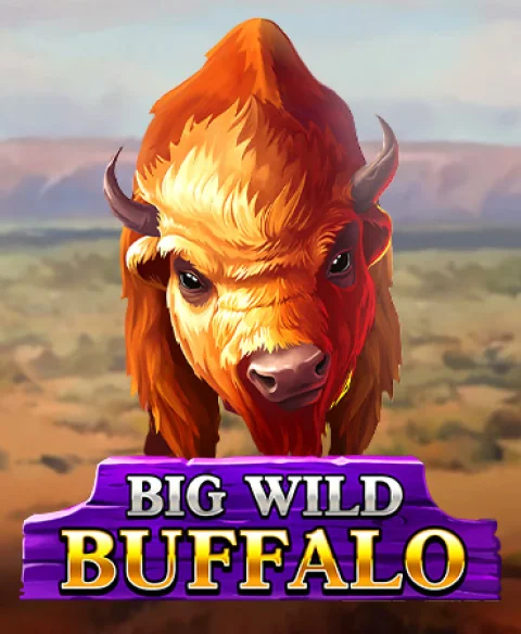 Play Big Wild Buffalo at Captains Bet Casino